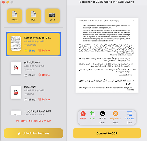 Arabic OCR macOS app interface